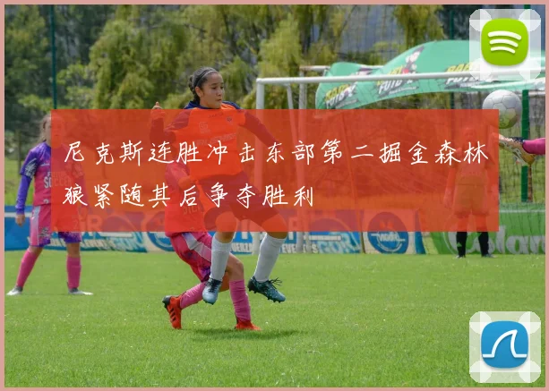 尼克斯连胜冲击东部第二掘金森林狼紧随其后争夺胜利